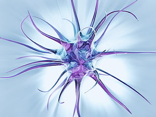 macro photography of purple molecule